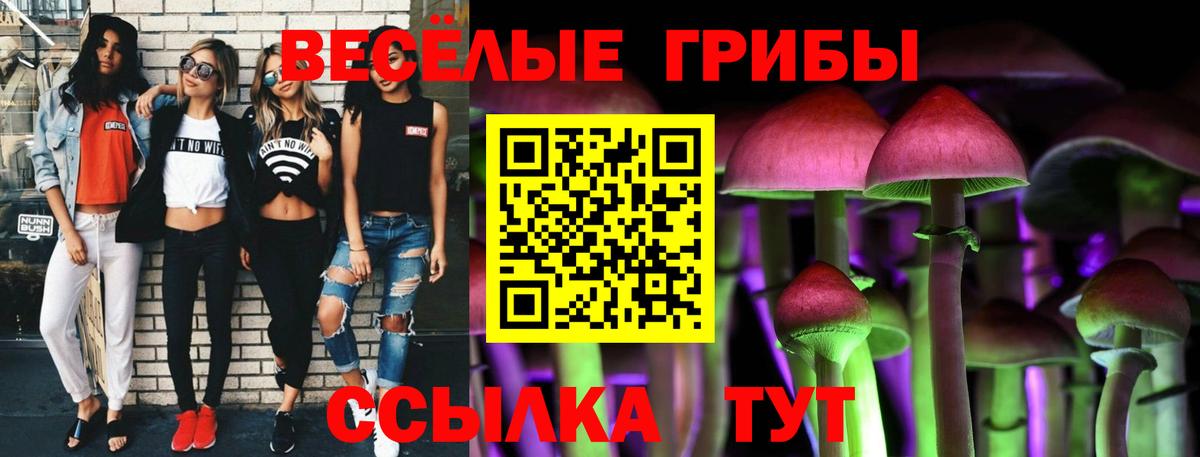 Галлюциногенные грибы Cubensis Апатиты