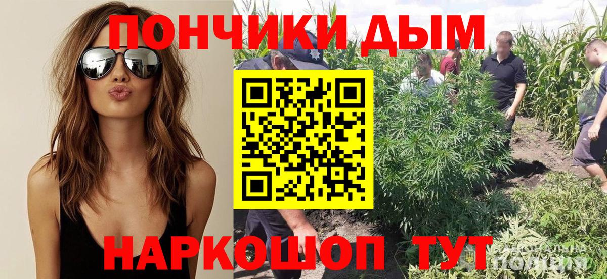 Канабис Ganja  Вход с VPN  Марихуана сатива  Апатиты  Бошки марихуана Ganja  Шишки марихуана Ganja 